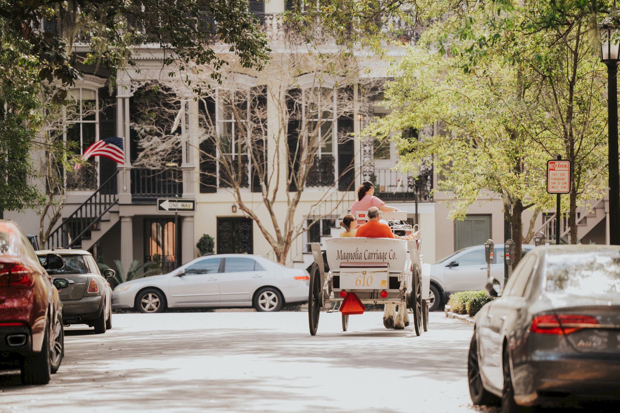 A horse-drawn carriage rides down a tree-lined street with classic buildings, parked cars, and an American flag in the background.